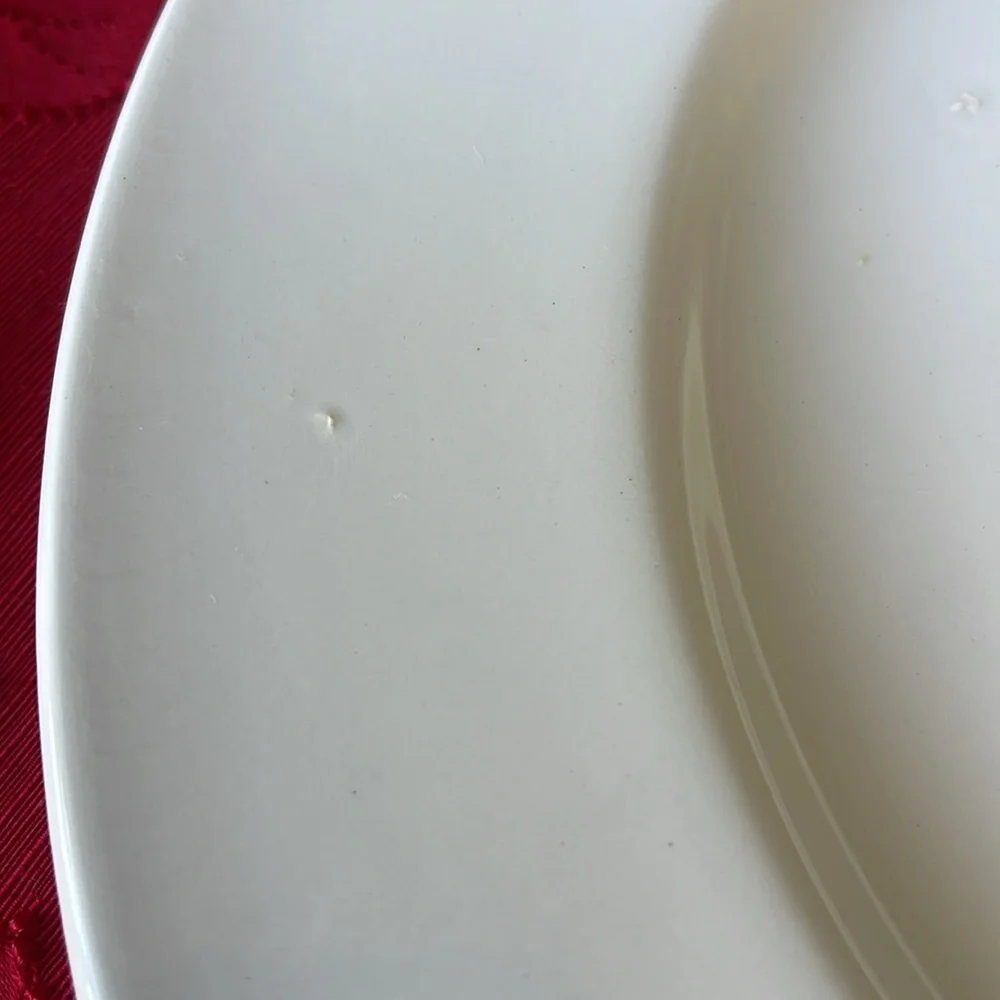 Rare Crow platter , the Victorian English pottery by Edward Challinor, England